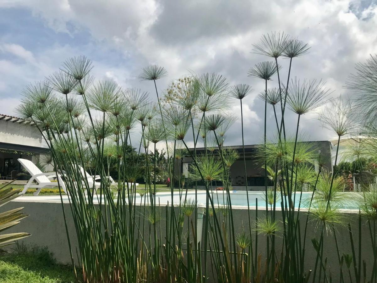 Torcaza casa de campo Quimbaya Esterno foto